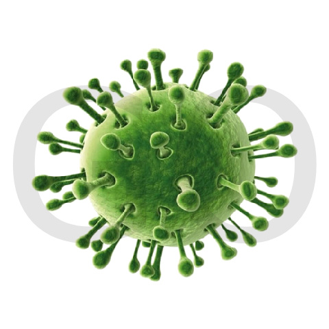 Обработка против вирусов и бактерий